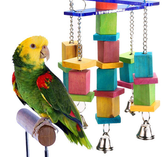 Fából készült papagájjátékunk élénk színei azonnal felkeltik madarad figyelmét.